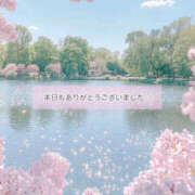 ヒメ日記 2025/03/30 19:00 投稿 藤木 ミセスの手ほどき