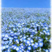 ヒメ日記 2025/05/10 15:30 投稿 藤木 ミセスの手ほどき