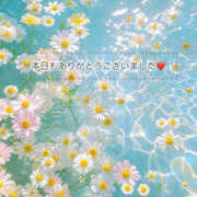 藤木 ご予約ありがとうございました🥲🩷 ミセスの手ほどき