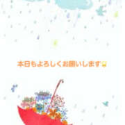 ヒメ日記 2026/02/11 13:17 投稿 藤木 ミセスの手ほどき