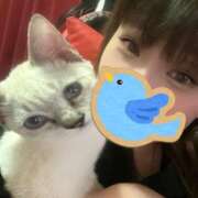 ヒメ日記 2024/12/24 09:00 投稿 枢木 BBW錦糸町店