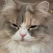 ヒメ日記 2025/02/09 04:51 投稿 ゆのん★ドMマシュマロH乳降臨 S級素人清楚系デリヘル chloe