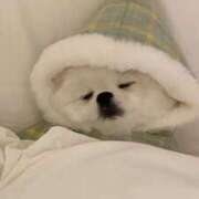 ヒメ日記 2025/03/04 17:08 投稿 ゆのん★ドMマシュマロH乳降臨 S級素人清楚系デリヘル chloe