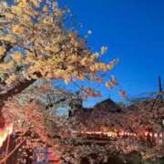 ヒメ日記 2025/04/07 15:31 投稿 ゆのん★ドMマシュマロH乳降臨 S級素人清楚系デリヘル chloe