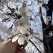 ヒメ日記 2025/04/06 20:48 投稿 浅井 西川口デッドボール