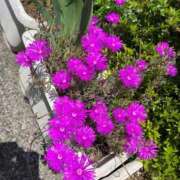 ヒメ日記 2025/05/10 23:28 投稿 浅井 西川口デッドボール