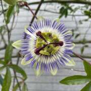 ヒメ日記 2025/06/03 14:49 投稿 浅井 西川口デッドボール