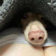 浅井 甘えん坊 西川口デッドボール