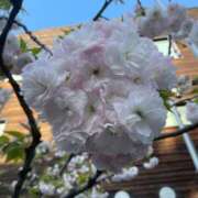 浅井 🌸 西川口デッドボール