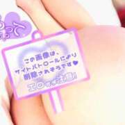 ヒメ日記 2025/03/12 15:45 投稿 しろは サンキュー仙台店