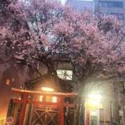 ヒメ日記 2025/03/29 18:35 投稿 しろは サンキュー仙台店