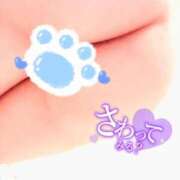 ヒメ日記 2025/05/10 01:15 投稿 しろは サンキュー仙台店