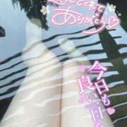 ヒメ日記 2025/06/19 04:25 投稿 しろは サンキュー仙台店