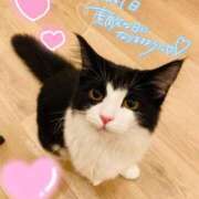 ヒメ日記 2025/06/20 22:25 投稿 しろは サンキュー仙台店