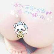 ヒメ日記 2025/08/11 12:06 投稿 しろは サンキュー仙台店