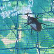 ヒメ日記 2025/08/15 12:25 投稿 しろは サンキュー仙台店