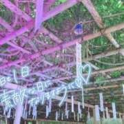 ヒメ日記 2025/08/19 12:45 投稿 しろは サンキュー仙台店