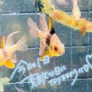 ヒメ日記 2025/08/27 12:25 投稿 しろは サンキュー仙台店