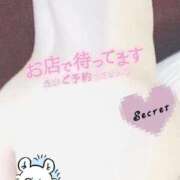 ヒメ日記 2025/09/01 12:30 投稿 しろは サンキュー仙台店