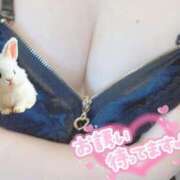 ヒメ日記 2025/09/05 17:35 投稿 しろは サンキュー仙台店