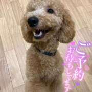 ヒメ日記 2025/09/15 02:25 投稿 しろは サンキュー仙台店