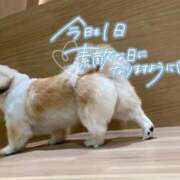 ヒメ日記 2025/09/16 13:15 投稿 しろは サンキュー仙台店