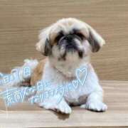 ヒメ日記 2025/09/20 12:25 投稿 しろは サンキュー仙台店