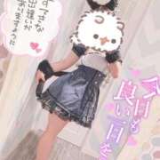 ヒメ日記 2025/09/25 13:15 投稿 しろは サンキュー仙台店