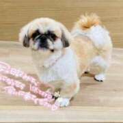 ヒメ日記 2025/09/27 00:45 投稿 しろは サンキュー仙台店