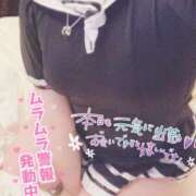 ヒメ日記 2025/10/02 12:05 投稿 しろは サンキュー仙台店