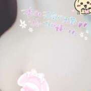 ヒメ日記 2025/10/11 12:45 投稿 しろは サンキュー仙台店