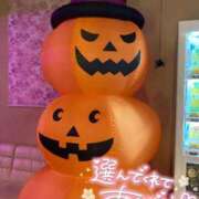 ヒメ日記 2025/10/12 17:25 投稿 しろは サンキュー仙台店