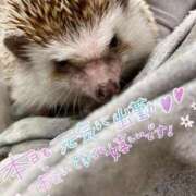 ヒメ日記 2025/10/15 12:06 投稿 しろは サンキュー仙台店