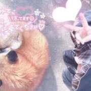 ヒメ日記 2025/11/04 17:05 投稿 しろは サンキュー仙台店