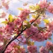 ヒメ日記 2025/04/12 07:17 投稿 みほ 2980円