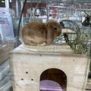 ヒメ日記 2025/07/08 11:53 投稿 みほ 2980円