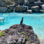 ヒメ日記 2025/11/14 12:43 投稿 みほ 2980円