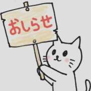 みほ 負傷 2980円