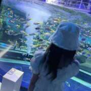 ヒメ日記 2025/11/01 15:34 投稿 ゆりな スピード梅田店