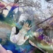 ヒメ日記 2026/01/27 17:18 投稿 ゆりな スピード梅田店