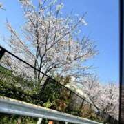 ヒメ日記 2026/04/21 17:42 投稿 ゆりな スピード梅田店