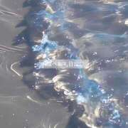 ヒメ日記 2025/05/25 13:31 投稿 百桃(もも) グランドオペラ横浜