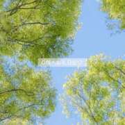 ヒメ日記 2025/06/07 15:51 投稿 百桃(もも) グランドオペラ横浜