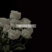 ヒメ日記 2026/02/01 11:41 投稿 百桃(もも) グランドオペラ横浜