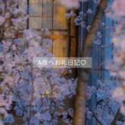 ヒメ日記 2026/03/23 09:41 投稿 百桃(もも) グランドオペラ横浜