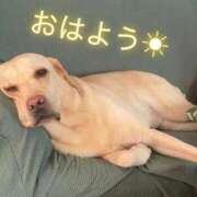 ヒメ日記 2025/09/18 08:21 投稿 杏奈(あんな) グランドオペラ横浜