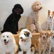 ヒメ日記 2025/09/30 14:51 投稿 杏奈(あんな) グランドオペラ横浜