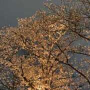 ヒメ日記 2025/03/30 19:25 投稿 なぎ 吉野ケ里人妻デリヘル 「デリ夫人」