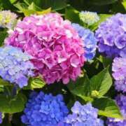 なぎ おはようございます😊 吉野ケ里人妻デリヘル 「デリ夫人」