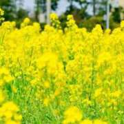 なぎ おはようございま〜す！ 吉野ケ里人妻デリヘル 「デリ夫人」